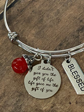 Load image into Gallery viewer, I DIDN’T GIVE YOU LIFE (B105)